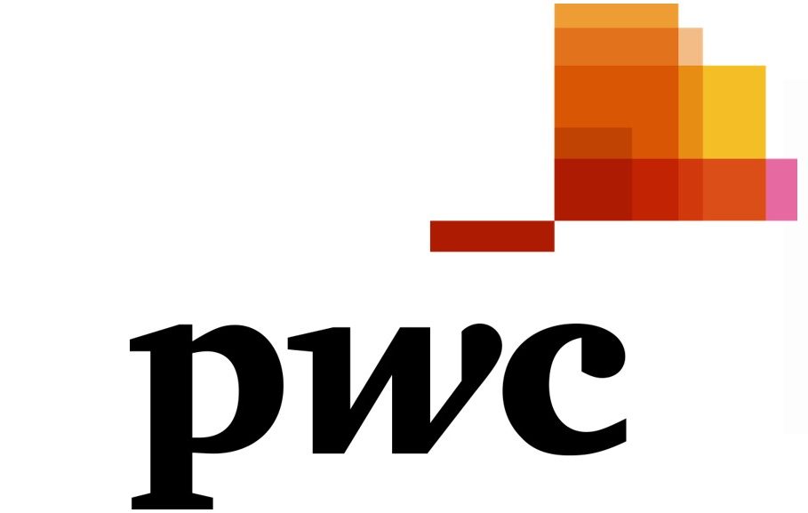 PWC 2019 Risk in review